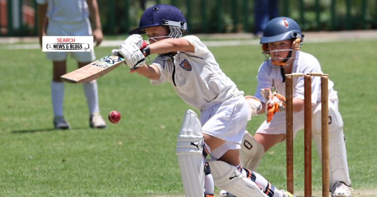 Cricket bat and ball with glossary terms superimposed